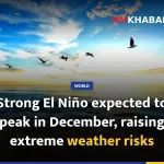 Strong El Niño expected to peak in December, raising extreme weather risks