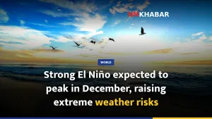 Strong El Niño expected to peak in December, raising extreme weather risks