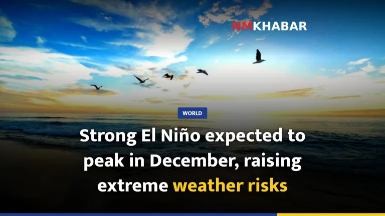 Strong El Niño expected to peak in December, raising extreme weather risks