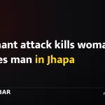 Elephant attack kills woman, injures man in Jhapa