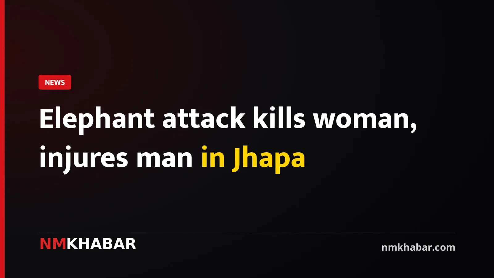 Elephant attack kills woman, injures man in Jhapa