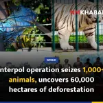Interpol operation seizes 1,000+ animals, uncovers 60,000 hectares of deforestation