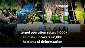 Interpol operation seizes 1,000+ animals, uncovers 60,000 hectares of deforestation