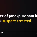 Mother of Janakpurdham knife attack suspect arrested