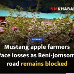 Mustang apple farmers face losses as Beni-Jomsom road remains blocked