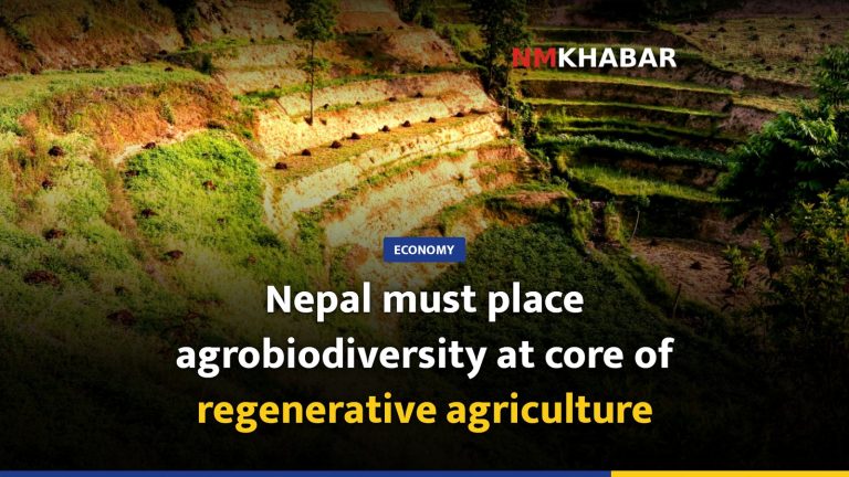 Nepal must place agrobiodiversity at core of regenerative agriculture