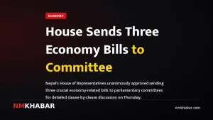 House Sends Three Economy Bills to Committee