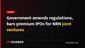 Government amends regulations, bars premium IPOs for NRN joint ventures