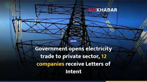 Government opens electricity trade to private sector, 12 companies receive Letters of Intent