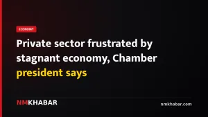 Private sector frustrated by stagnant economy, Chamber president says