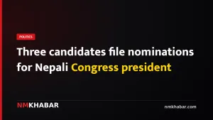 Three candidates file nominations for Nepali Congress president