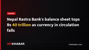 Nepal Rastra Bank's balance sheet tops Rs 40 trillion as currency in circulation falls
