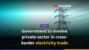 Government to involve private sector in cross-border electricity trade