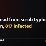 Ten dead from scrub typhus in Salyan, 817 infected