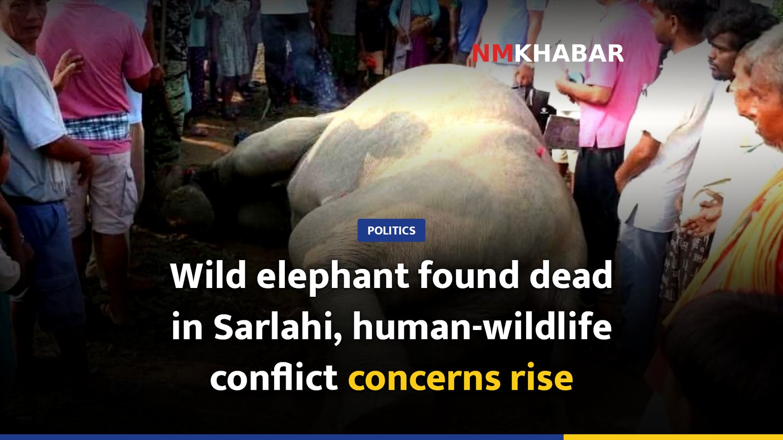Wild elephant found dead in Sarlahi, human-wildlife conflict concerns rise