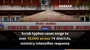 Scrub typhus cases surge to over 10,000 across 74 districts, ministry intensifies response