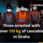 Three arrested with over 110 kg of cannabis in Siraha