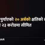 बाढी बीमा दाबी