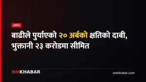 बाढी बीमा दाबी