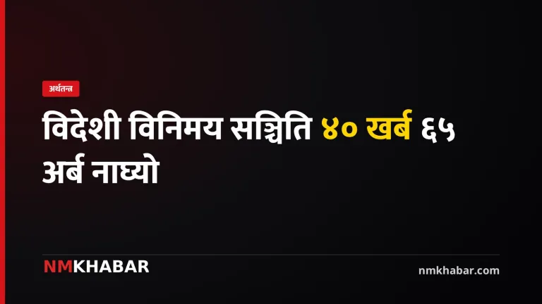 विदेशी विनिमय सञ्चिति