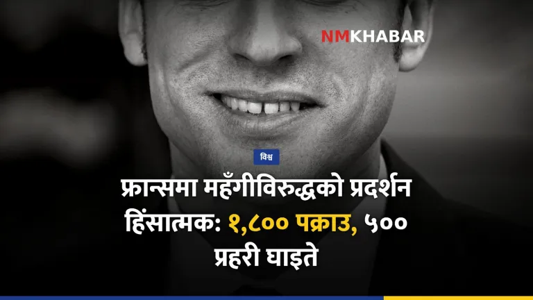 फ्रान्स प्रदर्शन