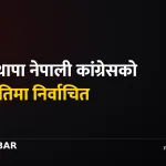 गगन थापा सभापति