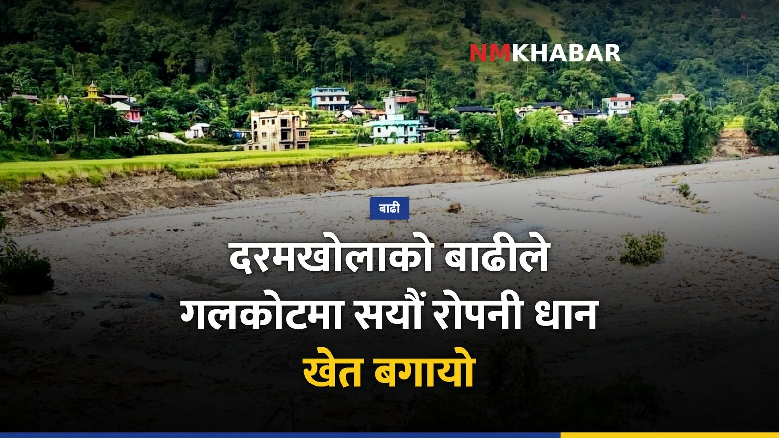 गलकोट बाढी, धानखेत क्षति