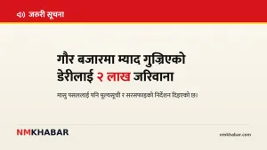 गौर बजार अनुगमन, उपभोक्ता संरक्षण, रौतहट