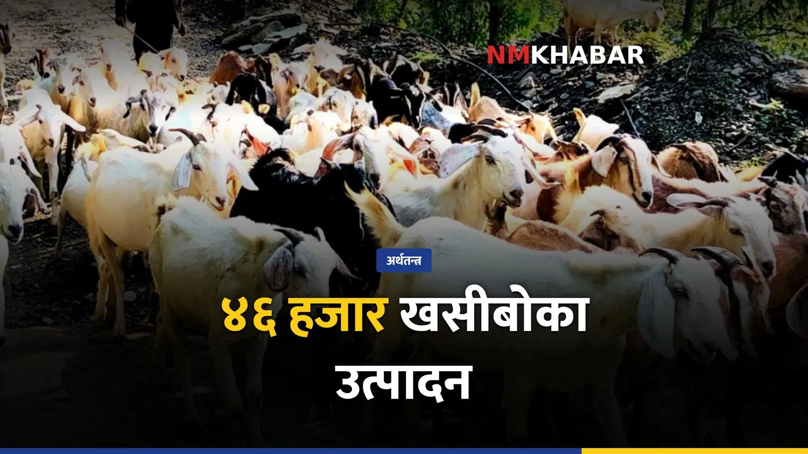 गुल्मी खसीबोका कारोबार