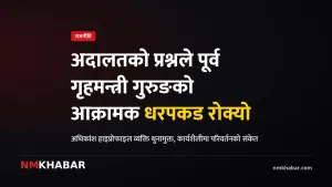 गृहमन्त्री सुधन गुरुङ, फौजदारी धरपकड, अदालतको प्रश्न
