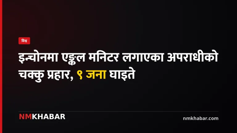 इलेक्ट्रोनिक एङ्कल मनिटर