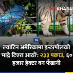इन्टरपोल, वन्यजन्तु तस्करी, वन फँडानी
