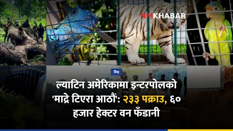 इन्टरपोल, वन्यजन्तु तस्करी, वन फँडानी