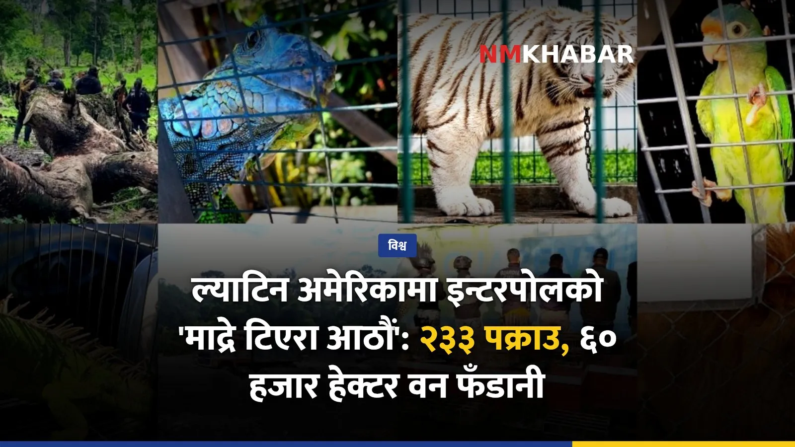 इन्टरपोल, वन्यजन्तु तस्करी, वन फँडानी