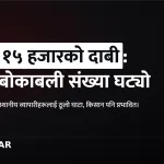 जनकपुरधाम राजदेवी मन्दिर