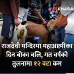राजदेवी मन्दिर बोका बलि