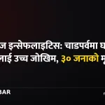 जापानिज इन्सेफलाइटिस