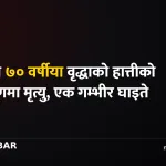 झापा हात्ती आक्रमण