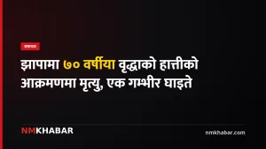 झापा हात्ती आक्रमण