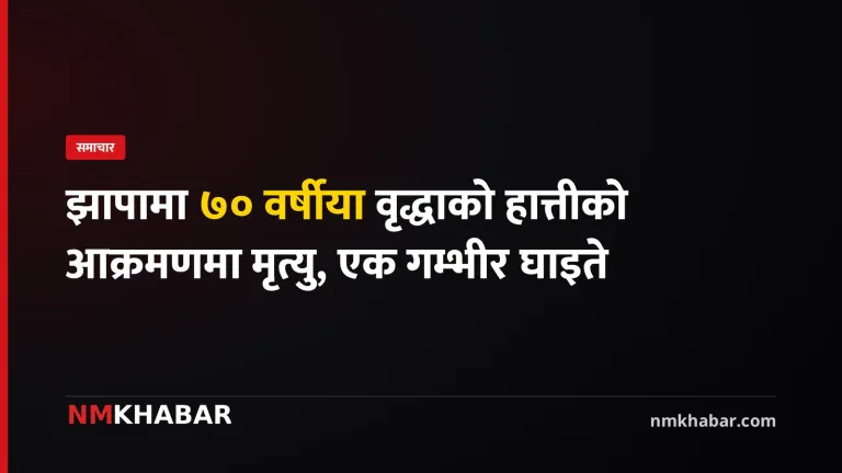 झापा हात्ती आक्रमण
