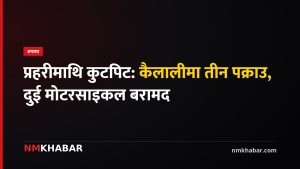 प्रहरीमाथि कुटपिट, कैलाली