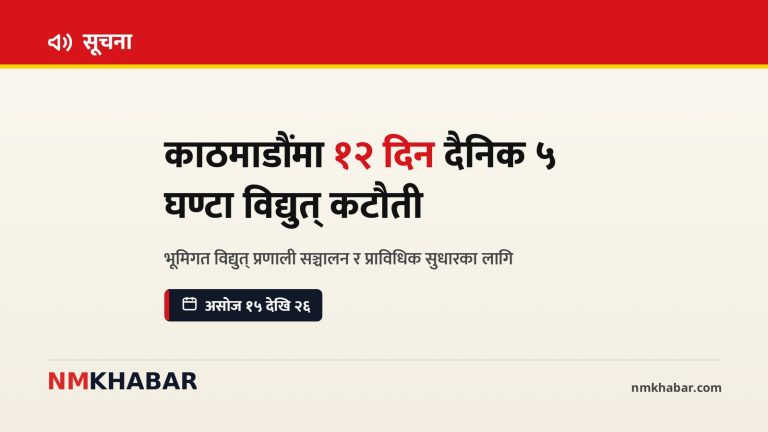 काठमाडौं विद्युत् कटौती, भूमिगत तार, नेपाल विद्युत् प्राधिकरण