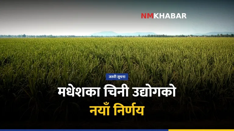 उखु खेती, चिनी उद्योग, मधेश किसान