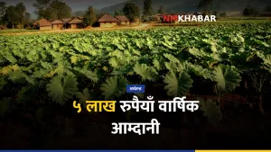 हात्तीकाउली खेती, महोत्तरी किसान