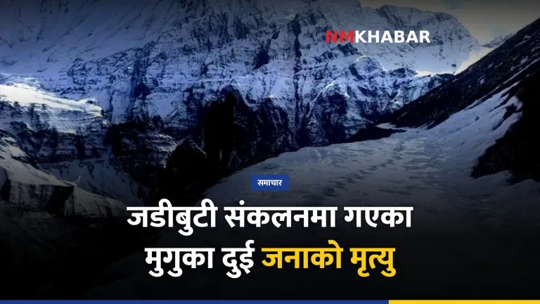 जडीबुटी, मुगु, मिमी पाटन