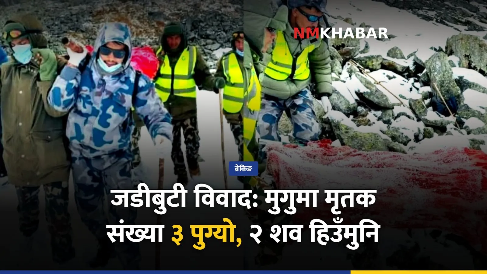 मिमी पाटन जडीबुटी विवाद