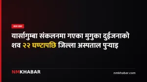 मुगु यार्सागुम्बा