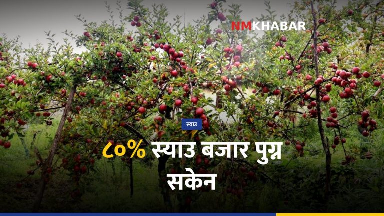 मुस्ताङ स्याउ क्षति