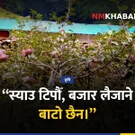 मुस्ताङ स्याउ, सडक अवरोध, किसान मर्का