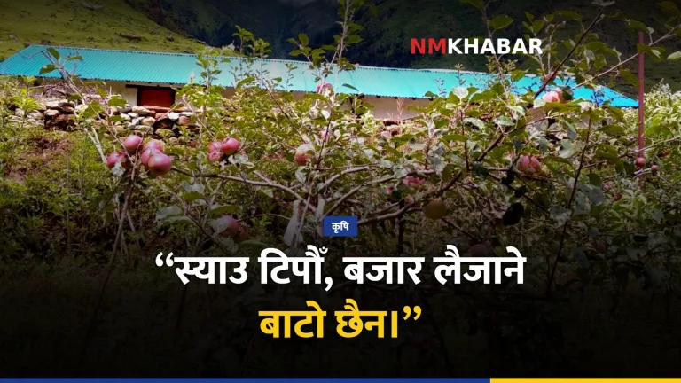 मुस्ताङ स्याउ, सडक अवरोध, किसान मर्का